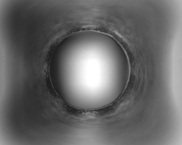 X0000088361351200706051016