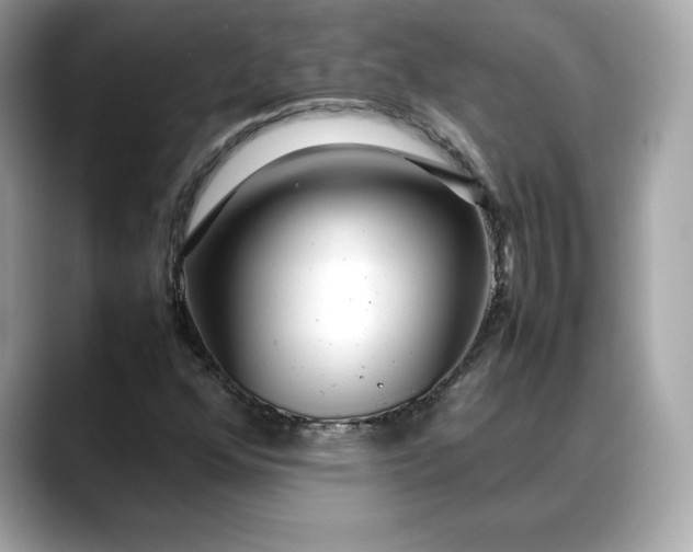 X0000088361352200706051016