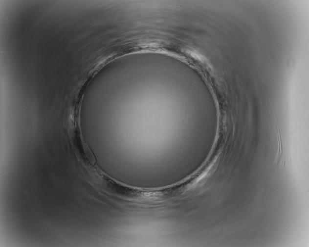 X0000088361353200706051016