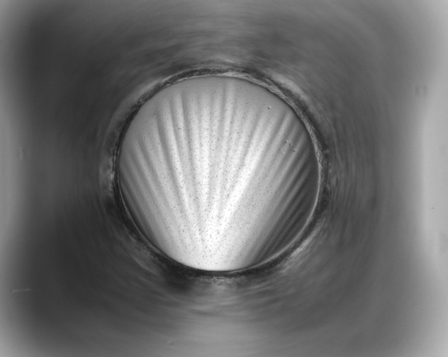 X0000088361355200706051016