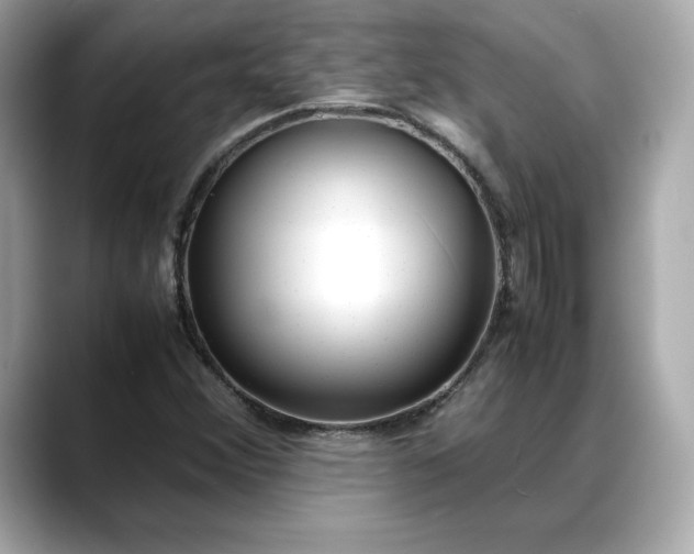 X0000088361356200706051016