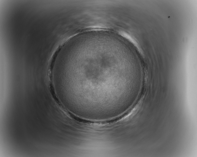 X0000088361357200706051016