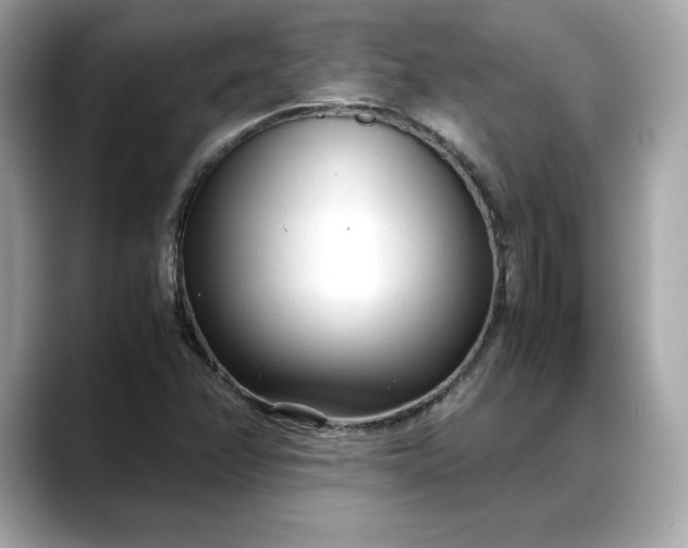 X0000088361358200706051016