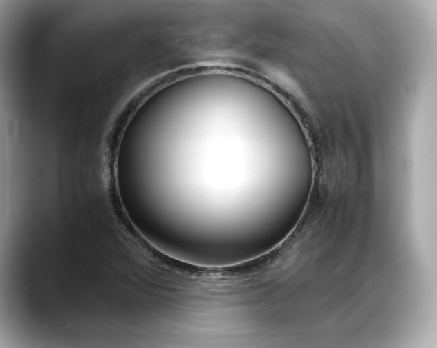 X0000088361360200706051016