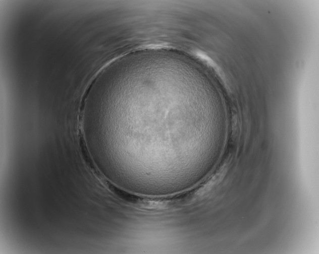 X0000088361361200706051016