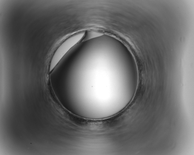 X0000088361363200706051016