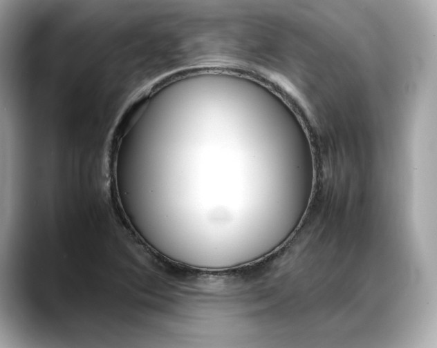 X0000088361364200706051016