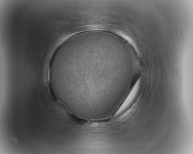 X0000088361365200706051016