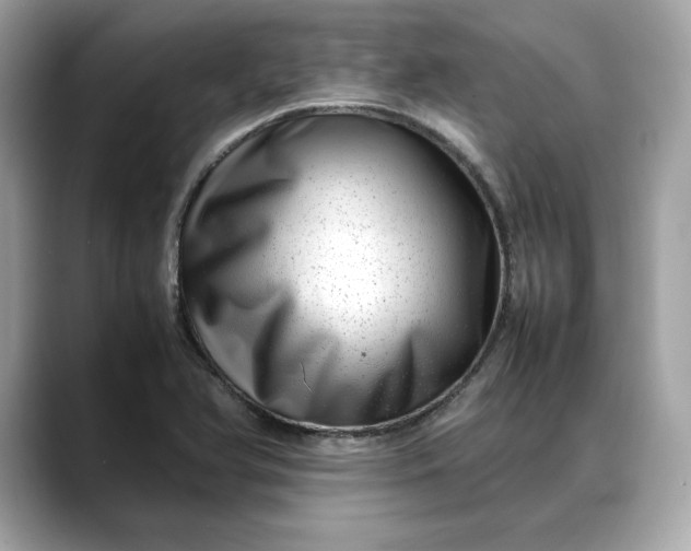 X0000088361366200706051016