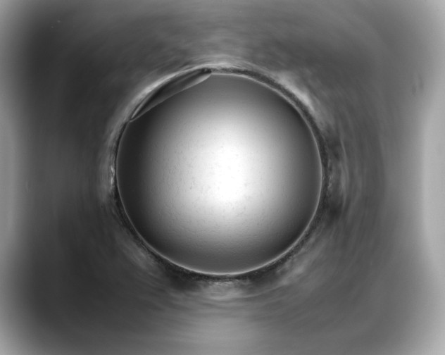 X0000088361367200706051016