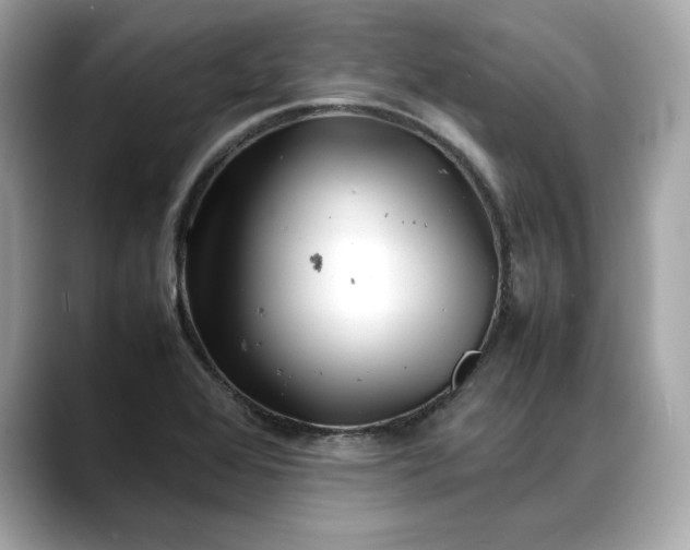 X0000088361368200706051016