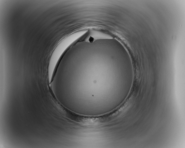 X0000088361369200706051016