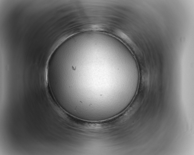 X0000088361370200706051016