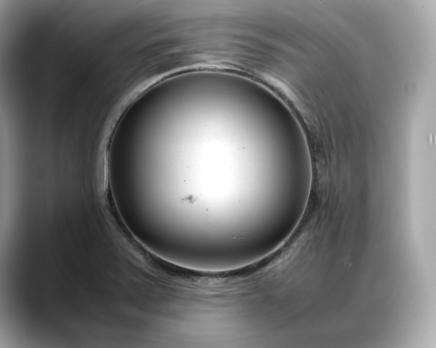 X0000088361371200706051016