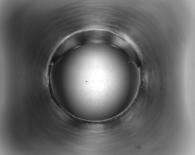 X0000088361372200706051016