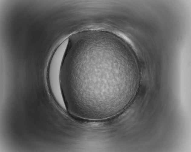 X0000088361373200706051015