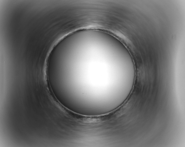 X0000088361374200706051015