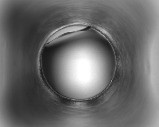 X0000088361375200706051015