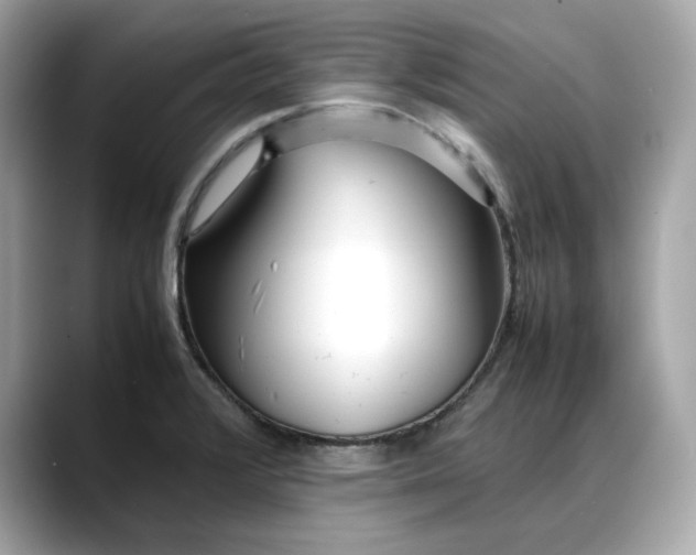 X0000088361376200706051015