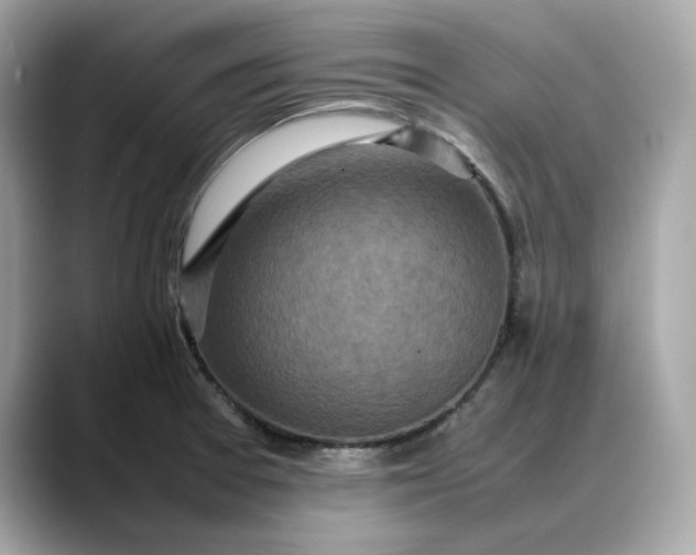 X0000088361377200706051015