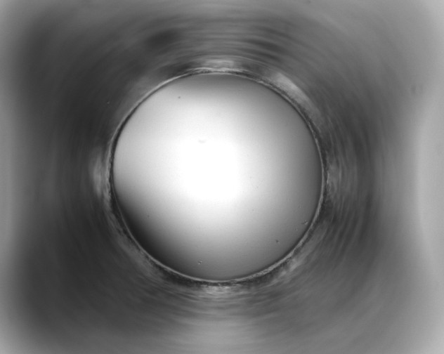 X0000088361378200706051015