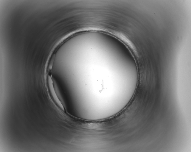 X0000088361380200706051015