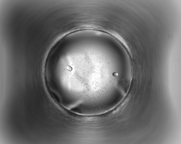 X0000088361381200706051015