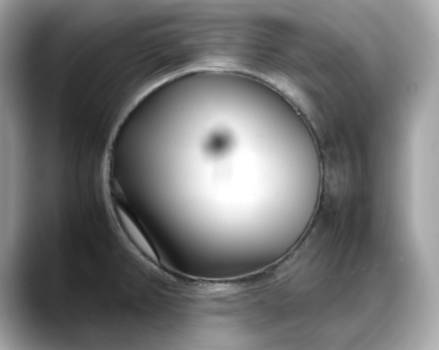 X0000088361382200706051015