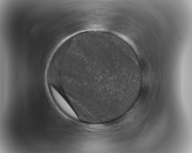 X0000088361383200706051015