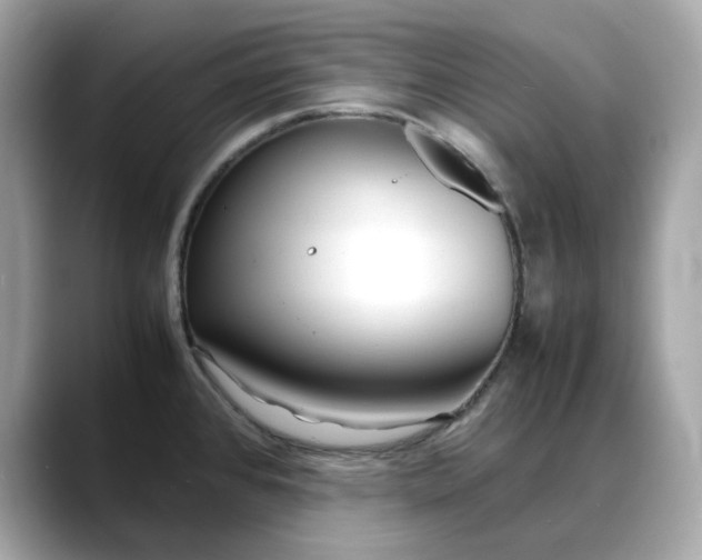 X0000088361384200706051015