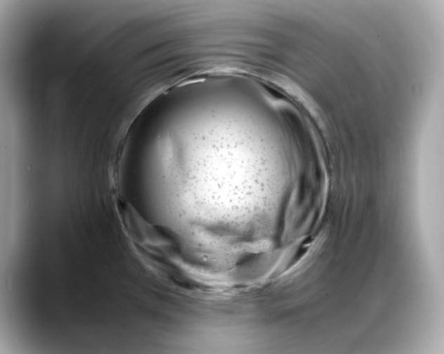 X0000088361385200706051015