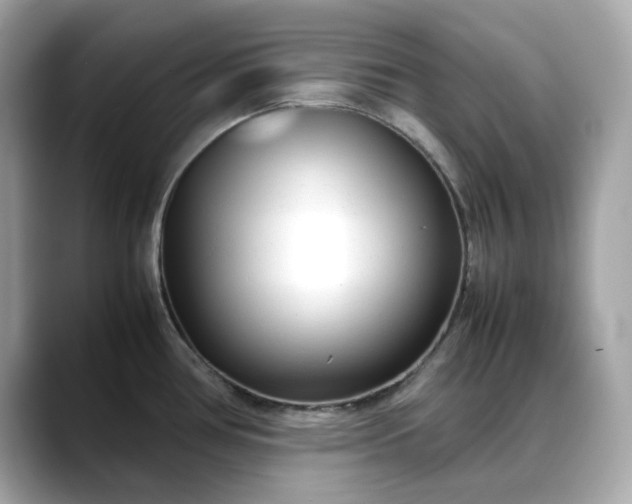 X0000088361386200706051015