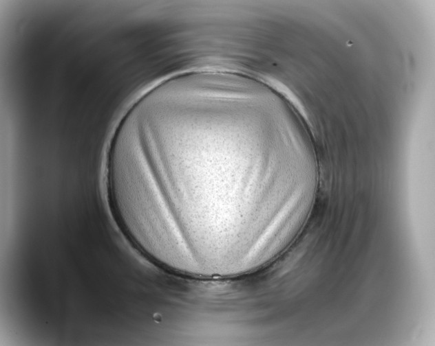 X0000088361387200706051015