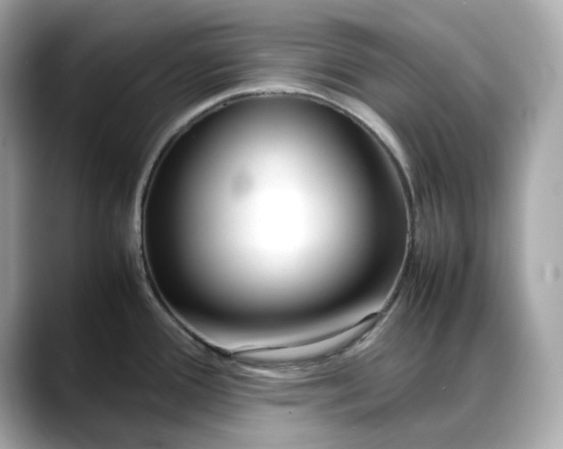 X0000088361388200706051015