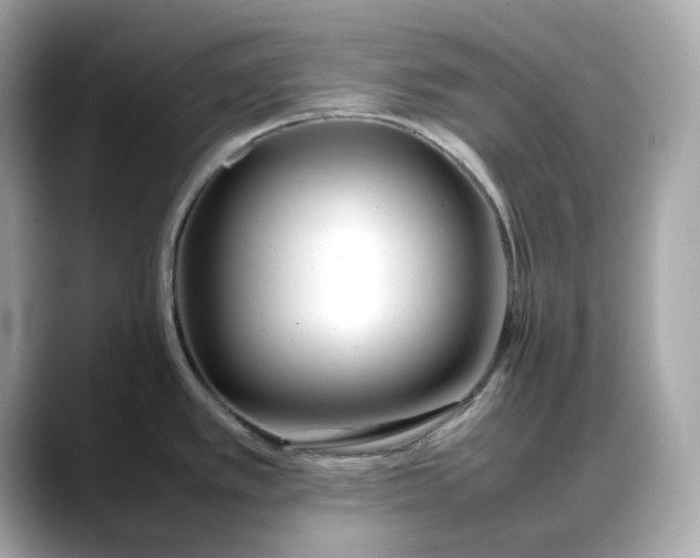 X0000088361389200706051015