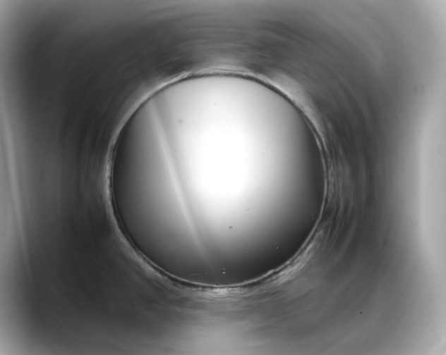 X0000088361390200706051015