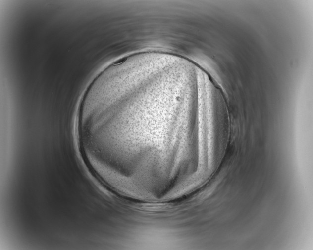 X0000088361391200706051015