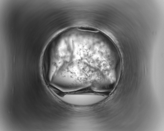 X0000088361392200706051015