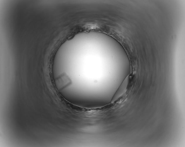 X0000088361393200706051015