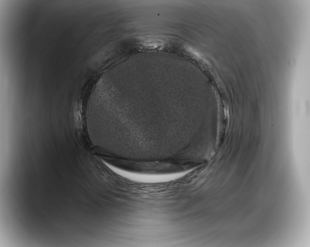 X0000088361394200706051015