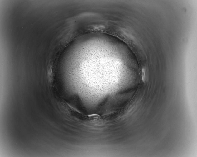 X0000088361395200706051015