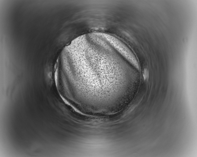 X0000088361396200706051015