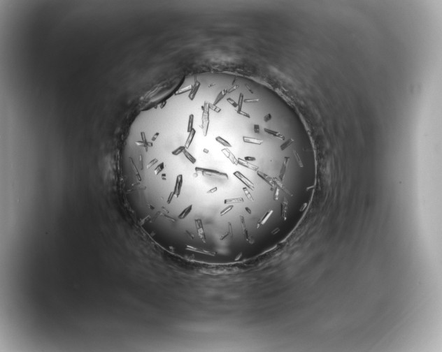 X0000088361397200706051015