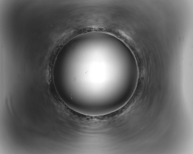 X0000088361398200706051015