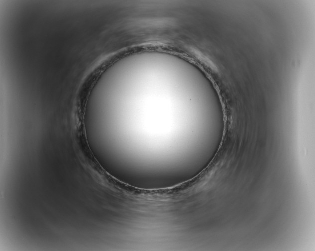 X0000088361400200706051015