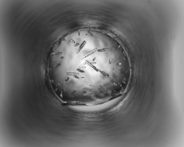 X0000088361401200706051015