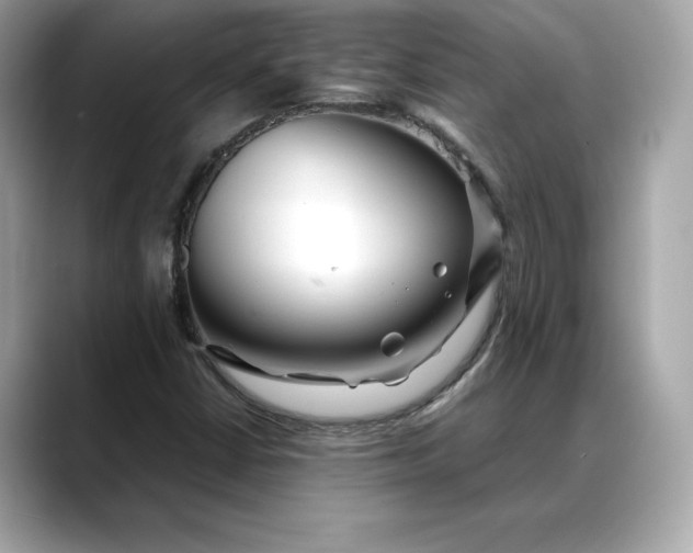 X0000088361402200706051015