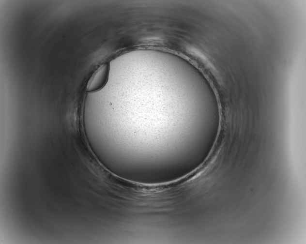 X0000088361403200706051015