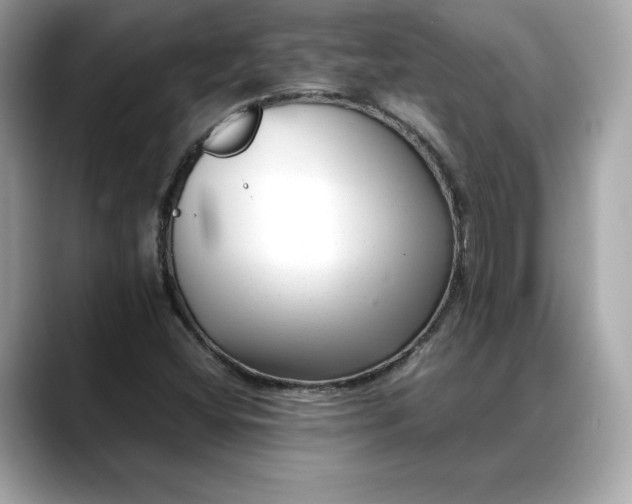 X0000088361404200706051015