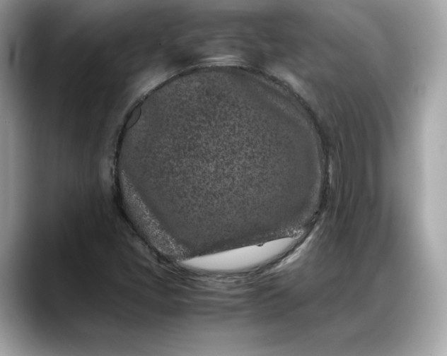 X0000088361405200706051015